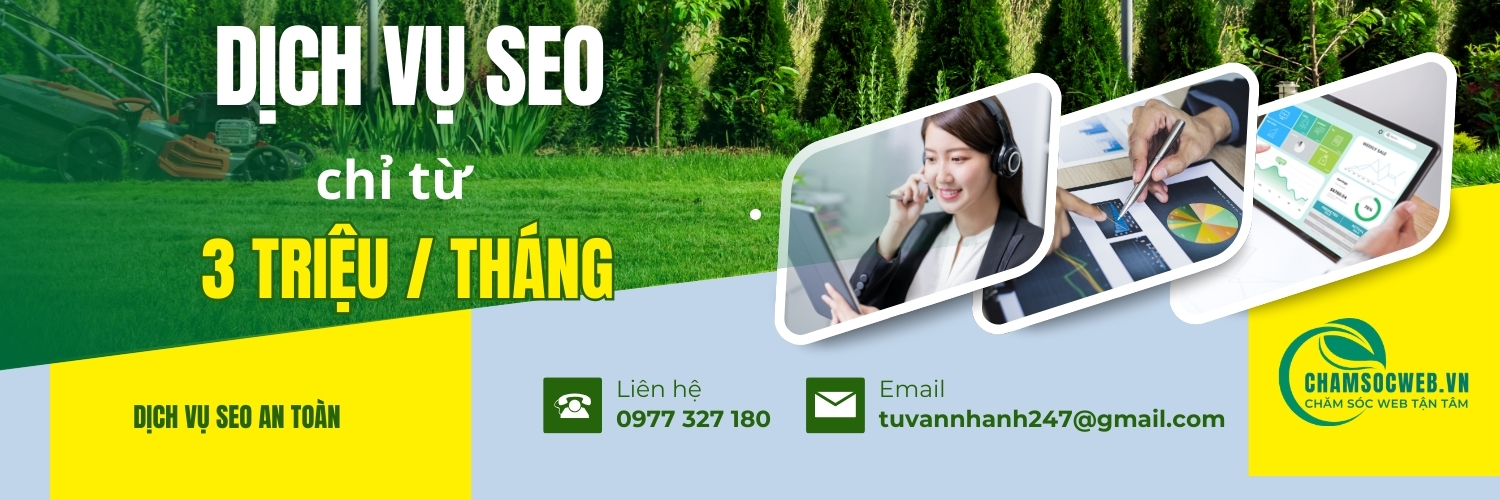 dịch vụ seo website Phương Nam chỉ từ 3 triệu đồng tháng